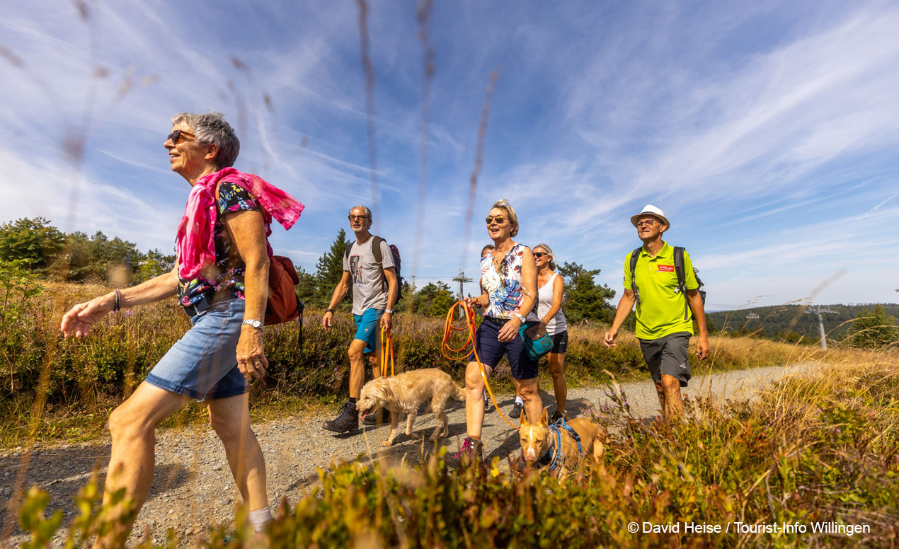 Wandern in Willlingen