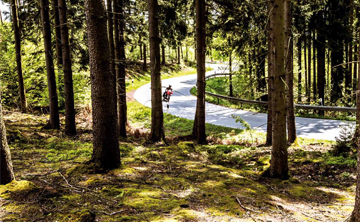 Motorrad Fahrszene im Wald