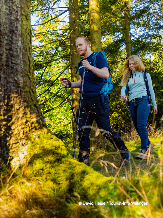 Wandern im Naturpark Diemelsee