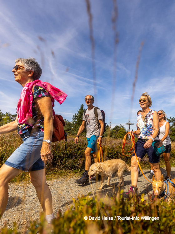 Wanderurlaub in Willingen - Natur erleben im Sauerland